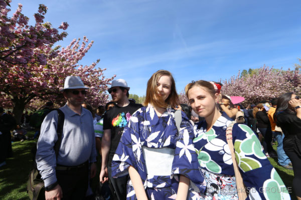 sakura-matsuri_sns_003