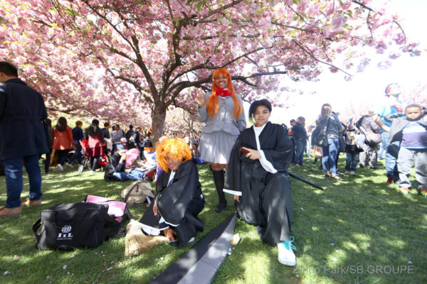 sakura-matsuri_sns_004