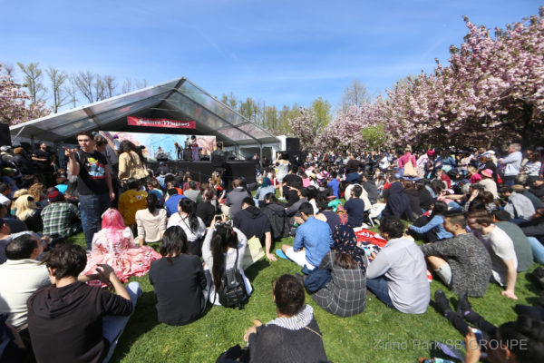 sakura-matsuri_sns_008