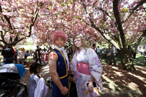 sakura-matsuri_sns_022