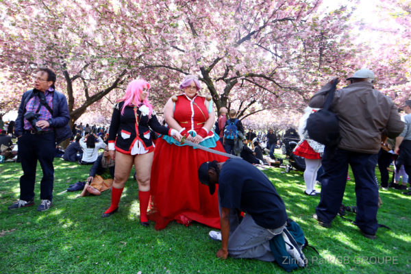 sakura-matsuri_sns_025